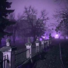 lavender town