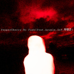 No Push (Feat.kyum1n,Sn9,하명준)