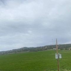 looksmaxx prod krimsonfrost