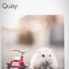 Quay