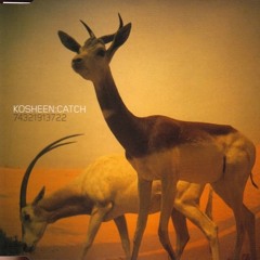 Kosheen - Catch ( Extasia Remix )