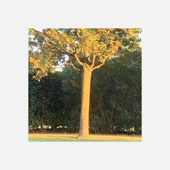 JUST THE TWO OF US - Doc Mool House Edit