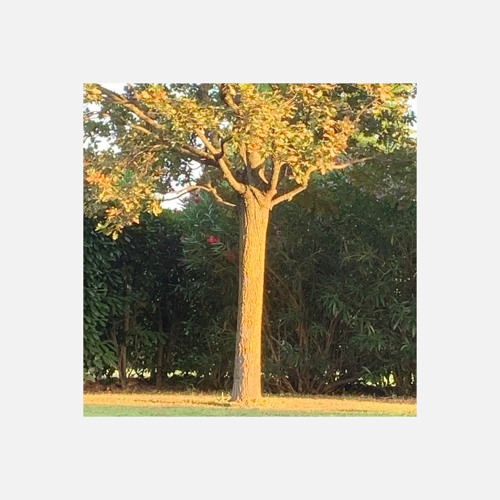 JUST THE TWO OF US - Doc Mool House Edit