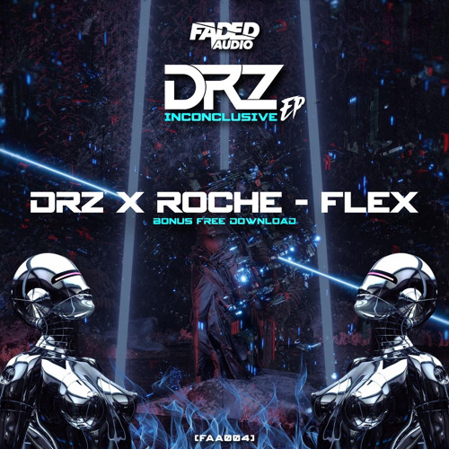 DRZ X ROCHE - FLEX (BONUS F/D)