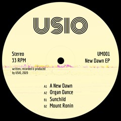 Mount Ronin (House Mix)