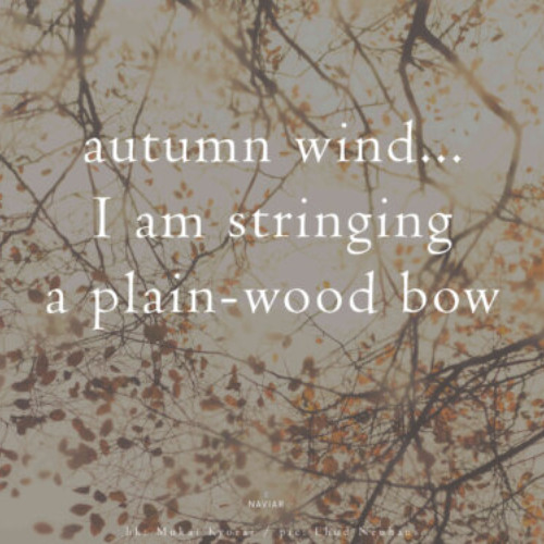 autumn wind (naviarhaiku563)