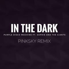 In The Dark - Purple Disco Machine Ft. Sophie And The Giants (Pinksky Remix)