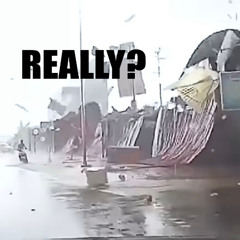 REALLY? PROD. GAT3 #2016