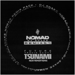 TSUNAMI (RICKY REMEDY REMIX)