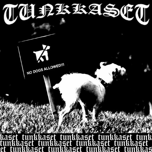 KRÄKINE KOIRALAUMA KUSEMAS SU NURKKII