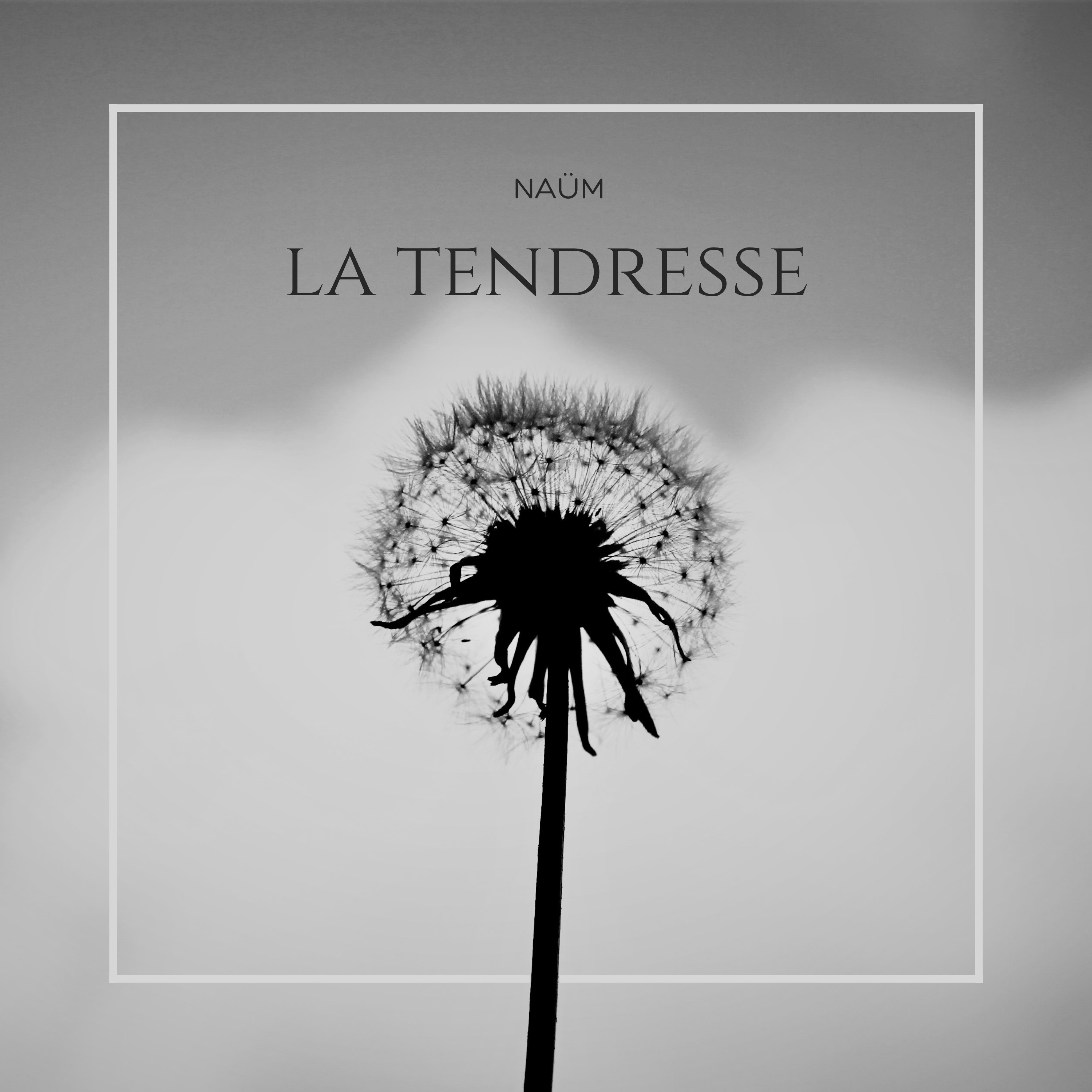 La tendresse episode artwork