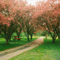 NØMADSØULMIX VOL. 2