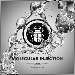 Devid Dega, Luca B - Molecular Injection (original Mix) Preview