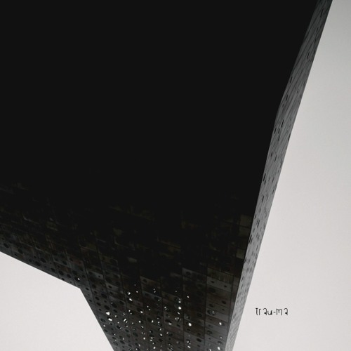 Root Noise - Algoritmo (TRM209)