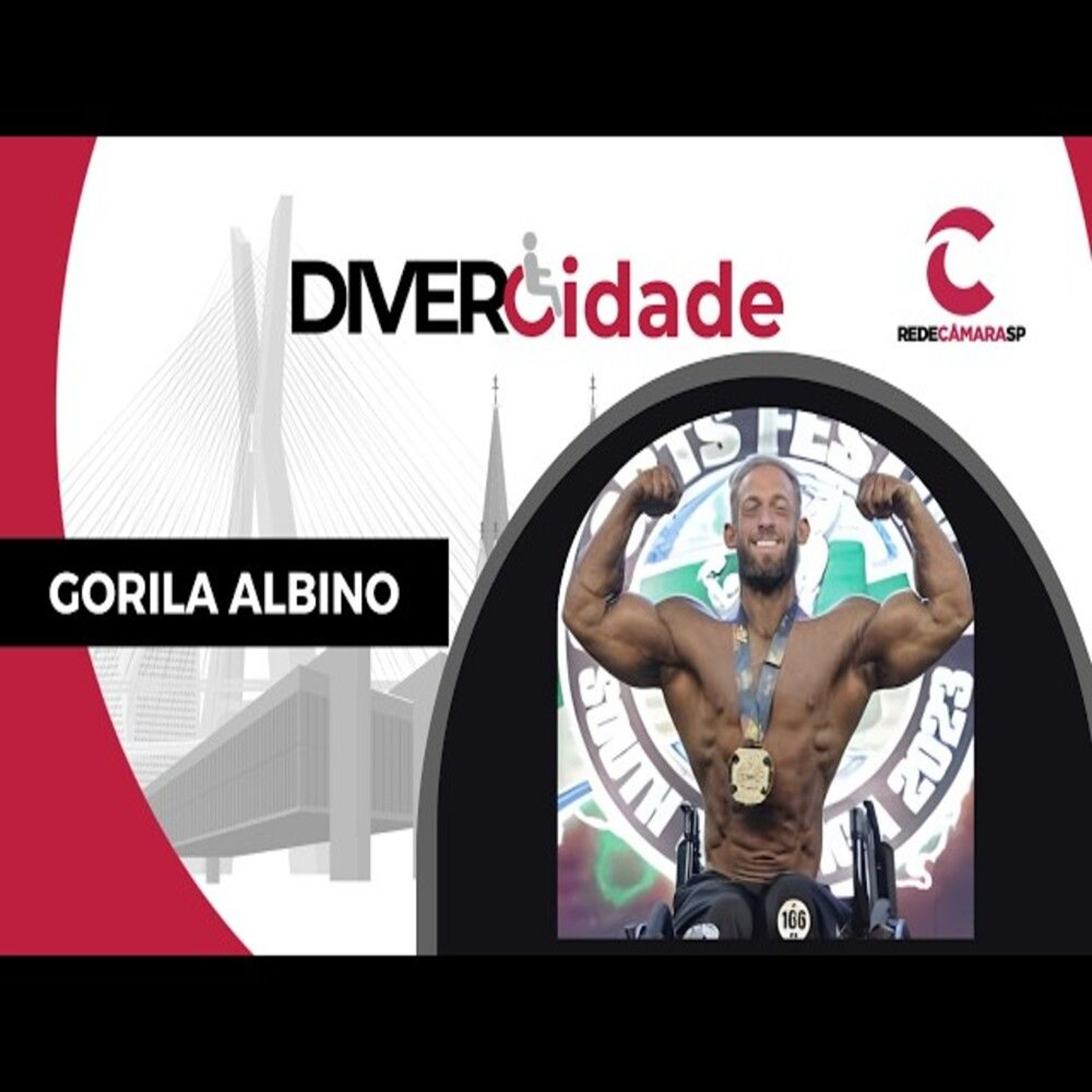 26.02.2026 = DIVERCIDADE - GORILA ALBINO = BL2 episode artwork