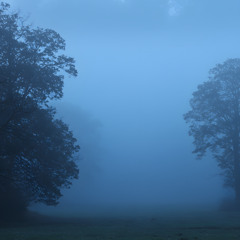 Celestial Ambient