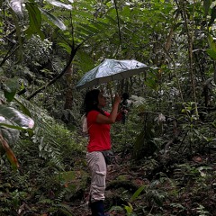 170224 / Listen Fauna / Pierina ONG FICUS / Maripoxa