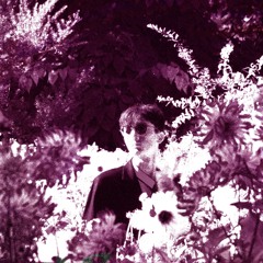 𝐅𝐥𝐨𝐫𝐚𝐥 𝐍𝐨𝐢𝐬𝐞𝐬 ✿