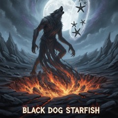 Lost in the Moonlight