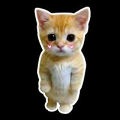 too fast (prod. me & DELLYVALIUM)