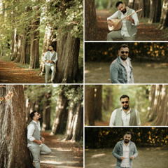 Hêz bi de xwe tu bi tenê