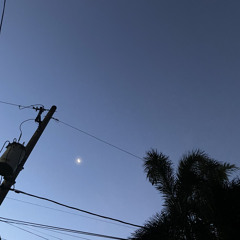 I just couldn't save you tonight