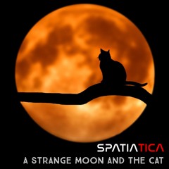 A Strange Moon And The Cat (Original Mix)