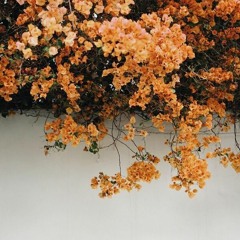 bu ateşi sen yaktın içime...  İnci Çayırlı