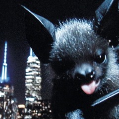 inmuney - geek wit me