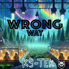 Wrong Way