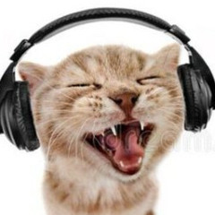 Cat Rapping