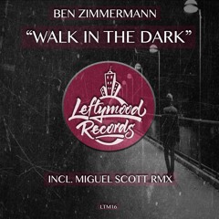 Ben Zimmermann - Walk in the dark (Miguel Scott rmx)