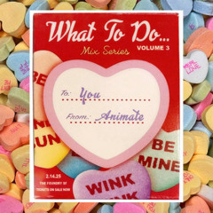 What To Do... ANIMATE | Feb 2025 Mix Series (Vol 3)