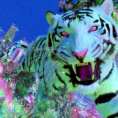 bayonet (prod. akumi & d1rexx)