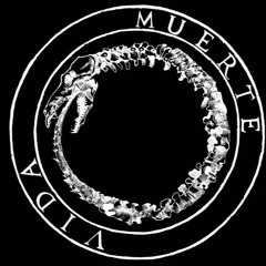 Ser Vero (Live)