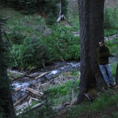 Hain Tilki Aptal Karga Kocaman Peynir Mutlu Karga Ölü Tilki
