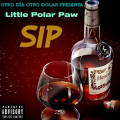 Little Polar Paw - Sip