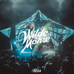 MANDELKA B2B Rad.Lez at Wilde Möhre Festival 2024 I Closing