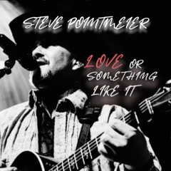 Love Or Something Like It:Steve Pointmeier