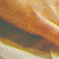 Aleksandir - Skin & Mind