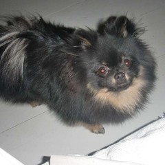 Ta min hand inför din gud så ska jag dra dig ner till helvetet (akustisk cover)