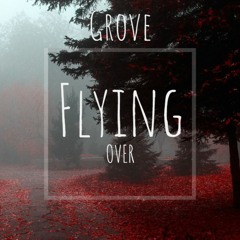 Grove - Flying Over (instrumental mix)