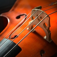 Fantasie Sonata for cello and piano, 2nd movt. (solo cello)
