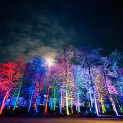 Melodic House/Techno 2 - 2025