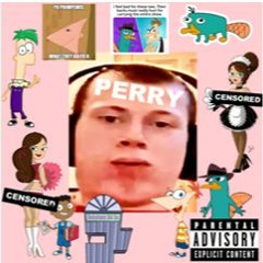 P E R R Y - ft. leo, olsenator and T