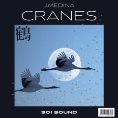 Cranes - J.Medina