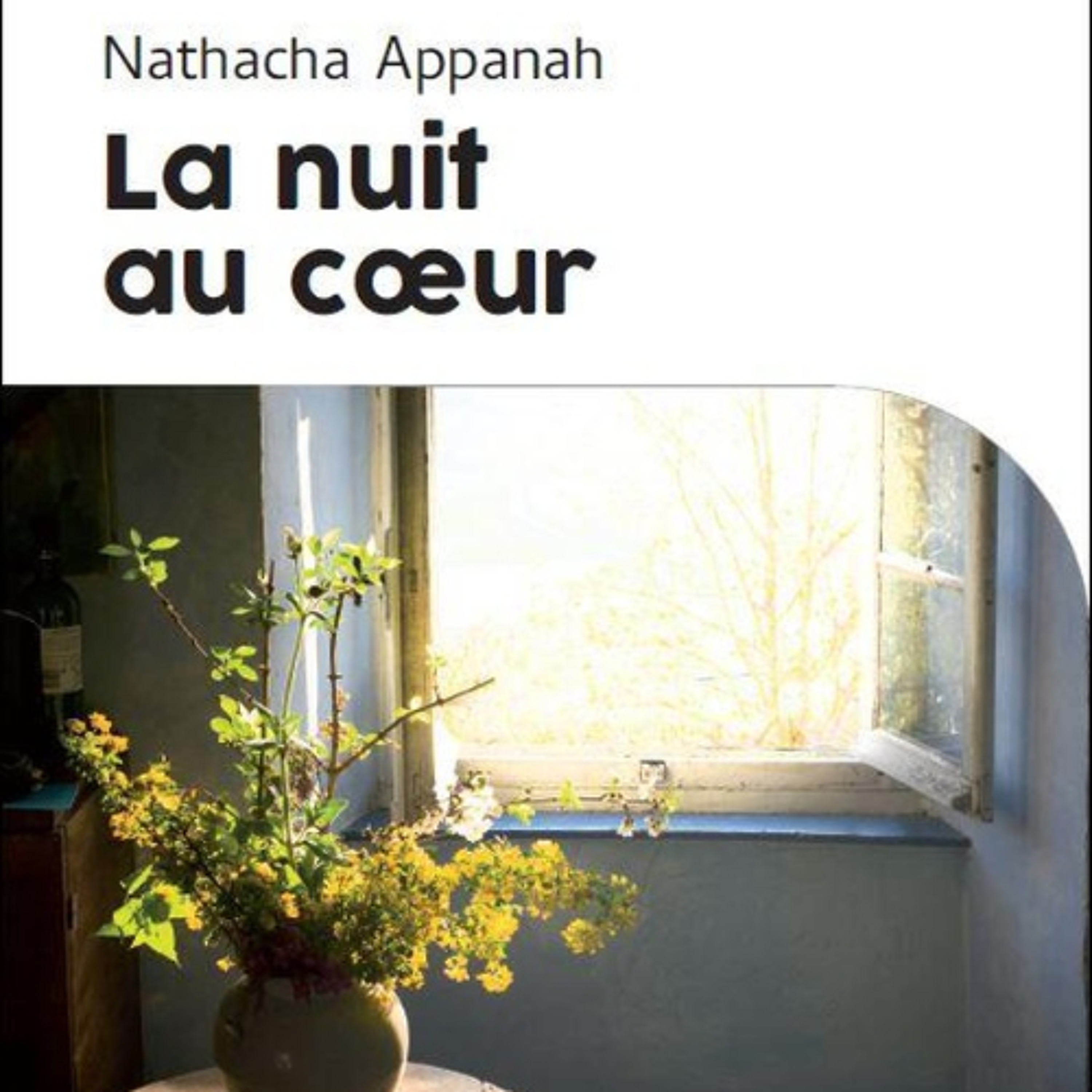 [Passages] Chronique littéraire - #1 La nuit au coeur, de Nathacha Appanah episode artwork