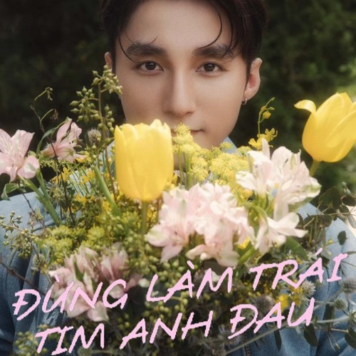 Sơn Tùng MTP - Đừng Làm Trái Tim Anh Đau (Ticada Remix)