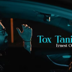Ernest Ogannesyan - Tox Tani Tani