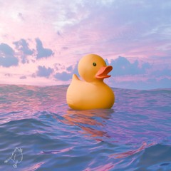 Quack Squawk Honk Releases